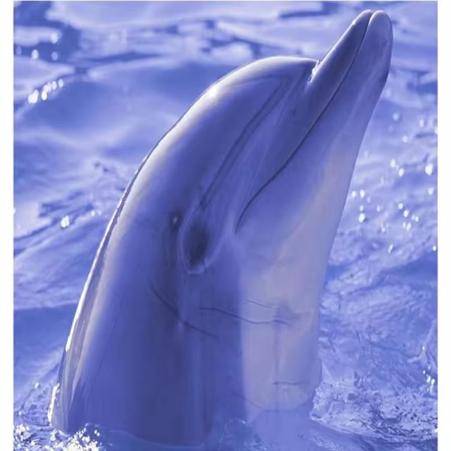 Bathroom Wall Tile (2)