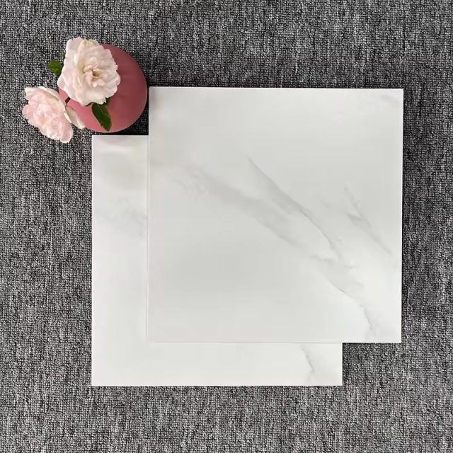 Ceramic Floor Tile (6) Ceramic Floor Tile (6)