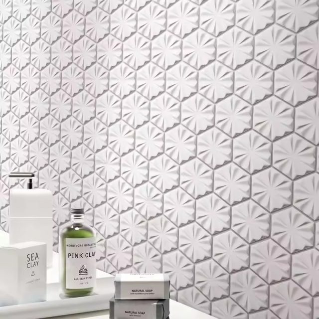 Ceramic Wall Tile (2) Ceramic Wall Tile (2)